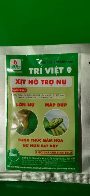 Chuyên Búp Trí Việt 9 