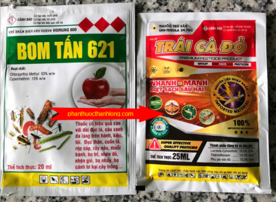 Bộ đôi Bom Tấn + Trái cà đỏ