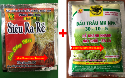 COMBO RA RỄ + ĐÂM CHỒI, ĐẺ NHÁNH