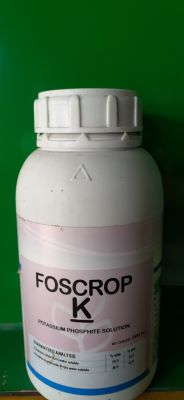 FOSCROP K 500ML