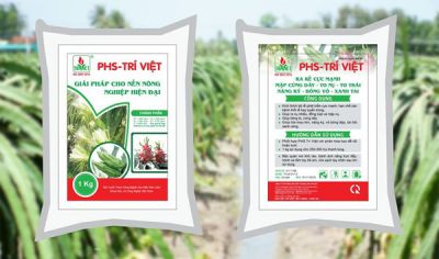 Bón kích thích ra rễ, dưỡng cây - PHS Trí Việt 